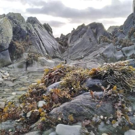 Port Lodge Northern Ireland Portaferry Zewnętrze zdjęcie