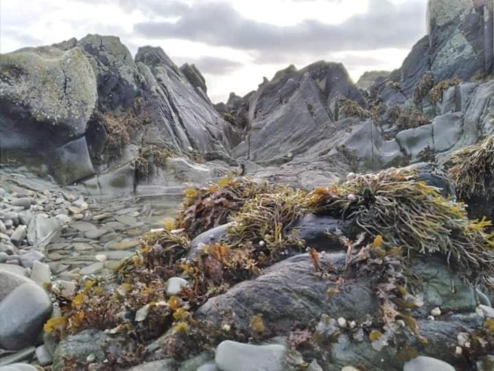 Port Lodge Northern Ireland Portaferry Zewnętrze zdjęcie